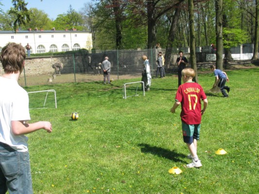 100_0061.JPG
